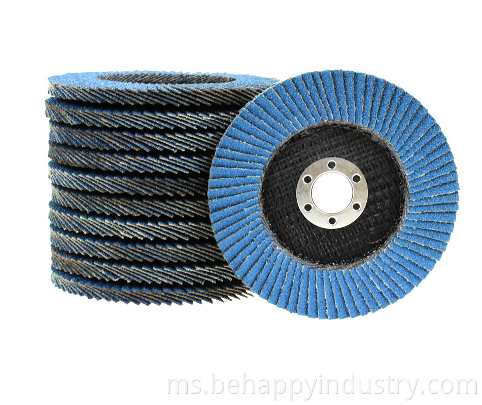 Flap Disc Grinding Tool